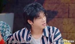 张歆艺华晨宇最新爆料,揭秘娱乐圈背后的故事