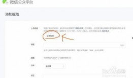 爆料视频公众号怎么做,如何打造热门内容